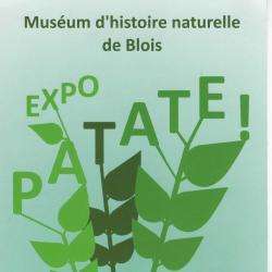 Muséum D'histoire Naturelle Blois