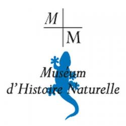 Muséum D'histoire Naturelle De La Ville De Marseille Marseille