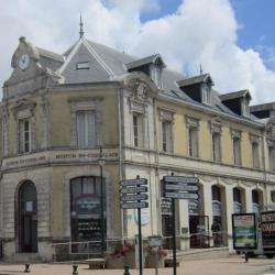 Musée Museum du coquillage - 1 - 