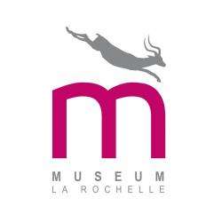 Musée MUSEUM HISTOIRE NATURELLE - 1 - 