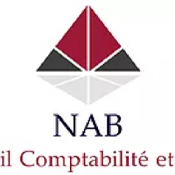 Comptable NAB Conseil Comptabilité et Audit - 1 - 