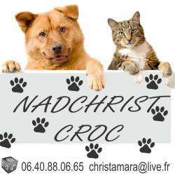 Animalerie NAD CHRIST CROC - 1 - 