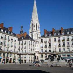 Ville et quartier Nantes - 1 - 