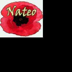 Parfumerie et produit de beauté Nateo - 1 - 
