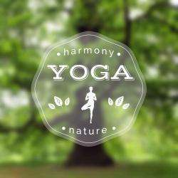 Yoga Natha Yoga - 1 - Formation Et Stages Natha Yoga - Yoga De L'énergie Et Du Souffle
Prânâyâma Et Méditation - 
