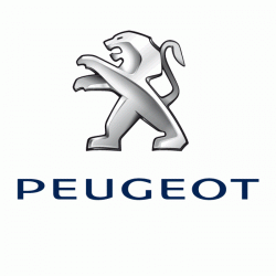 Groupe Nedey - Peugeot