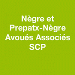 Avocat Nègre et Pepratx-Nègre Avoués Associés SCP - 1 - 