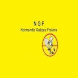 Ngf Normandie Guêpes Frelons Fontaine Henry