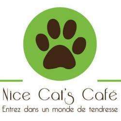 Salon de thé et café Nice Cat's Café - 1 - 
