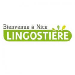 Nice Lingostière Nice