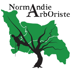 Jardinage Normandie Arboriste - 1 - 