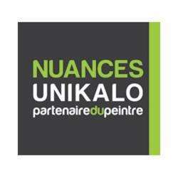 Peintre Nuances Unikalo Valence  - 1 - 