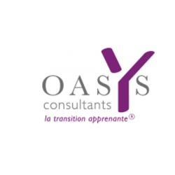 Oasys Consultants Toulouse