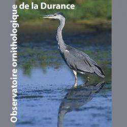 Site touristique Observatoire ornithologique de la Durance - 1 - 
