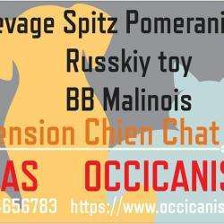 Occicanis Revel