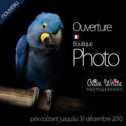 Olive White Photographies Albertville