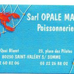 Opale Marée Saint Valéry Sur Somme