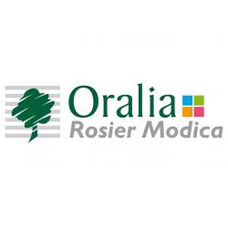 Diagnostic immobilier Oralia Rosier Modica & Piron  Syndic-Gestion-Administratif - 1 - 