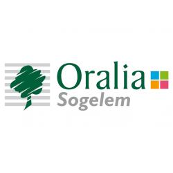 Diagnostic immobilier Oralia Sogelem - 1 - 