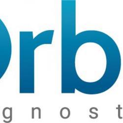 Agence immobilière Orbis Diagnostics - 1 - 