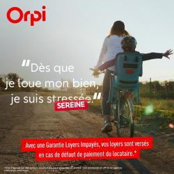 Agence immobilière Orpi Agence immobilière Rive de Seine - 1 - 
