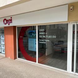 Agence immobilière Orpi Immo + Ormes - 1 - 