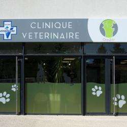 Vétérinaire Orthovet - Boulet Thierry - 1 - Crédit Photo : Site Internet Vétérinaires Orthovet - 