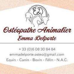 Ostéopathe Pour Animaux, Emma Delporte Bourgoin Jallieu