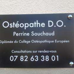 Ostéopathe Ostéopathe D.O. Perrine Souchaud - 1 - 