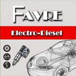 P. Favre Delphi Diesel Servuce Auto Ruffec