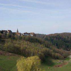 Parcs et Activités de loisirs Parc naturel régional des Vosges du Nord - 1 - 