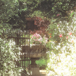 Jardinage Paris Tropic - Paysagiste - 1 - 