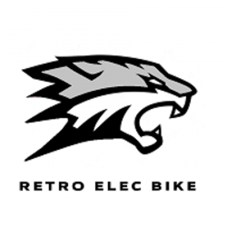 Retro Elec Bike Mont Saint Aignan