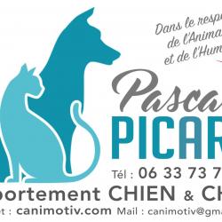 Pascale Picard Comportement Chat Chien Noisy Le Grand