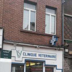 Vétérinaire Clinique Vétérinaire De L'epeule - 1 - 