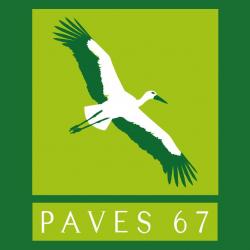 Constructeur Paves 67 - 1 - 