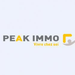 Agence immobilière Peak Immobilier Annemasse - 1 - 
