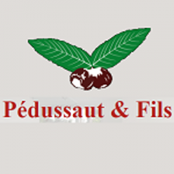 Concessionnaire Pedussaut Et Fils - 1 - 