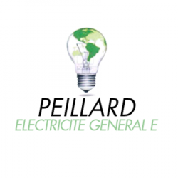 Electricien Peillard - 1 - 