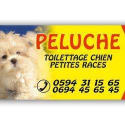 Animalerie Peluche Centre Canin - 1 - 