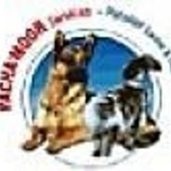 Garde d'animaux et Refuge Pension Canine Du Pacha'moor - 1 - 
