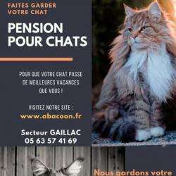 Pension Pour Chats Abacoon Castelnau De Montmiral