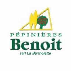 Jardinage Pepinieres Benoit  - 1 - 