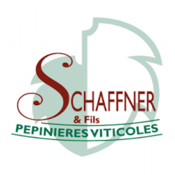 Producteur PEPINIERES VITICOLES SCHAFFNER - 1 - 