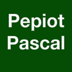 Entreprises tous travaux TP Pepiot Pascal - 1 - 