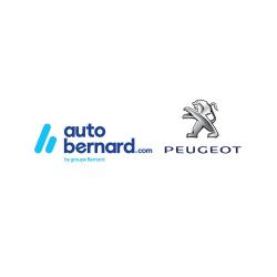 Concessionnaire Peugeot - 1 - 