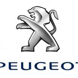 Peugeot Psa Retail Clamart