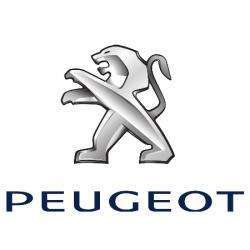 Gemy Cogolin - Peugeot Cogolin