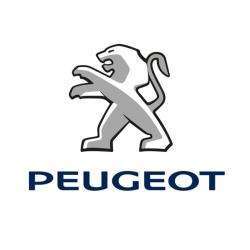 Peugeot Stellantis &you Lyon Rilleux-la-pape