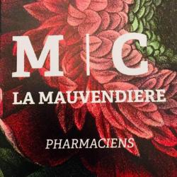 Pharmacie De La Mauvendiere Limoges